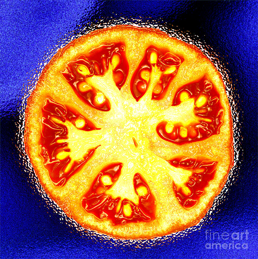 Sliced Tomato Photograph by Nancy Mueller