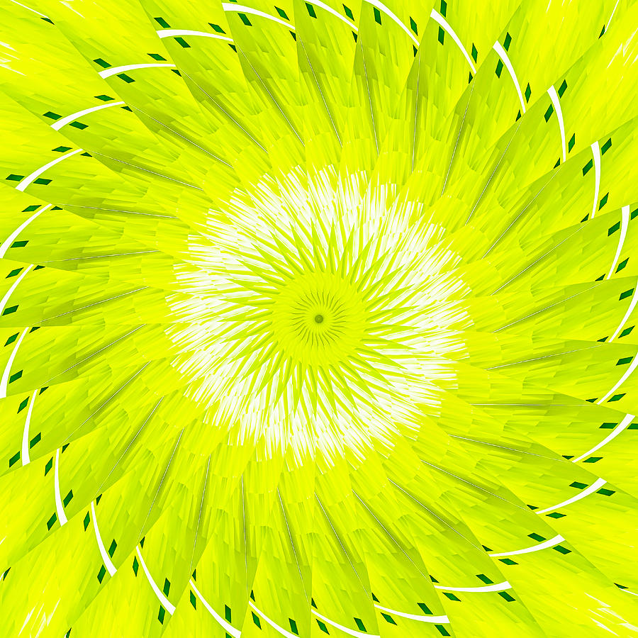 Slices of Lemon Digital Art by Carolyn Marshall