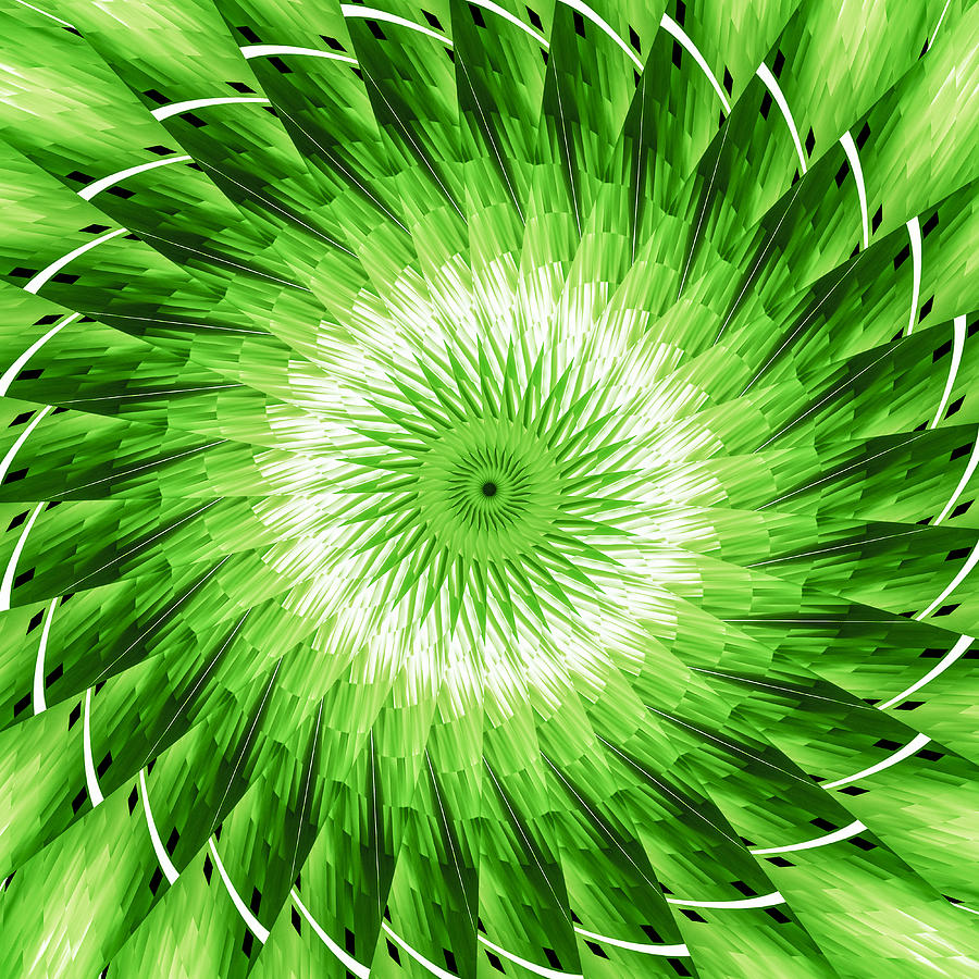 Slices of Lime Digital Art by Carolyn Marshall