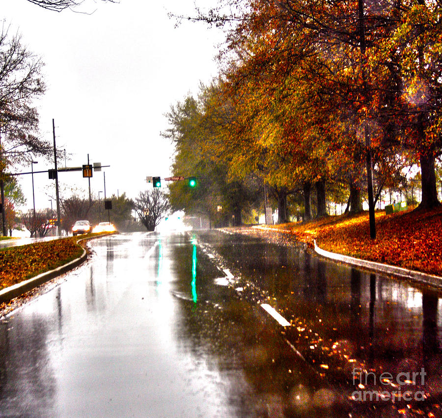 Slick Streets Rainy View Photograph by Lesa Fine