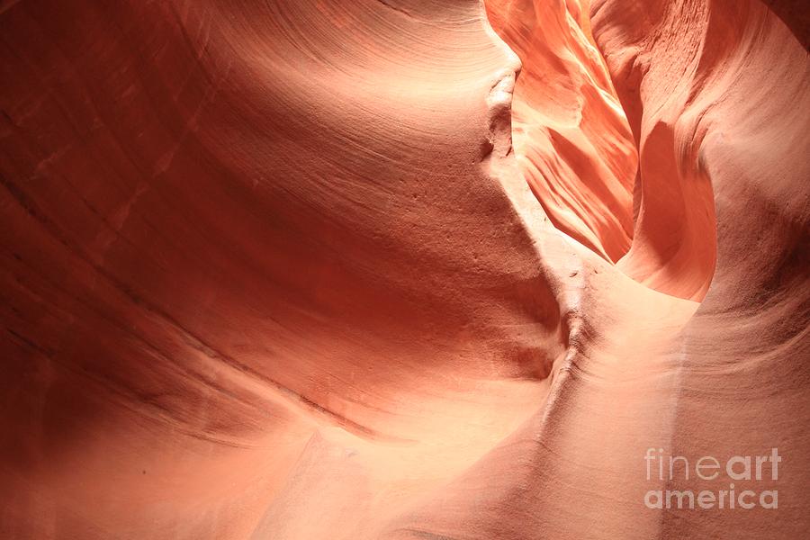 Us National Parks Photograph - Slide Of Light by Adam Jewell