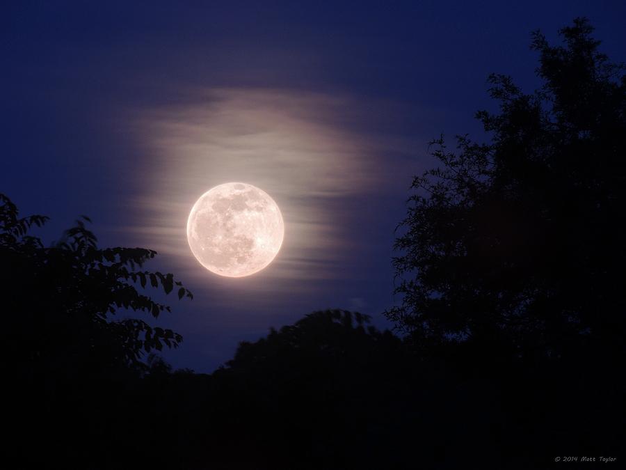 slightly-hazy-full-moon-photograph-by-matt-taylor-fine-art-america