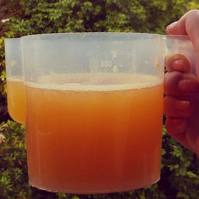 Juice Photograph - Slimming Juice #juice #orange #juicer by Crystal Chloe