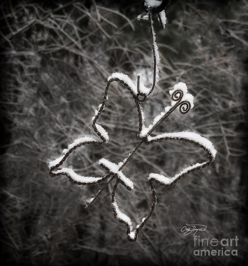 Cast Iron Photograph - Sliver Lining by Cris Hayes