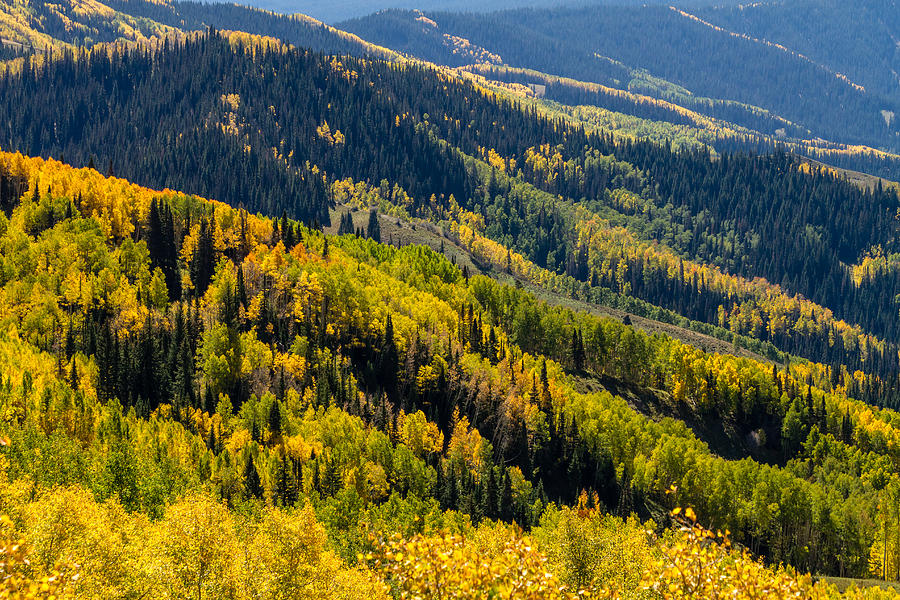 Slopes of Color Photograph by Teri Virbickis - Fine Art America