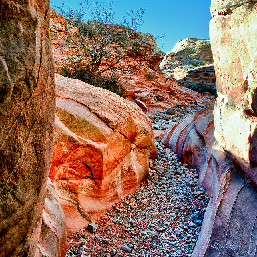 Slot Canyon Exit Photograph by Renee Sullivan