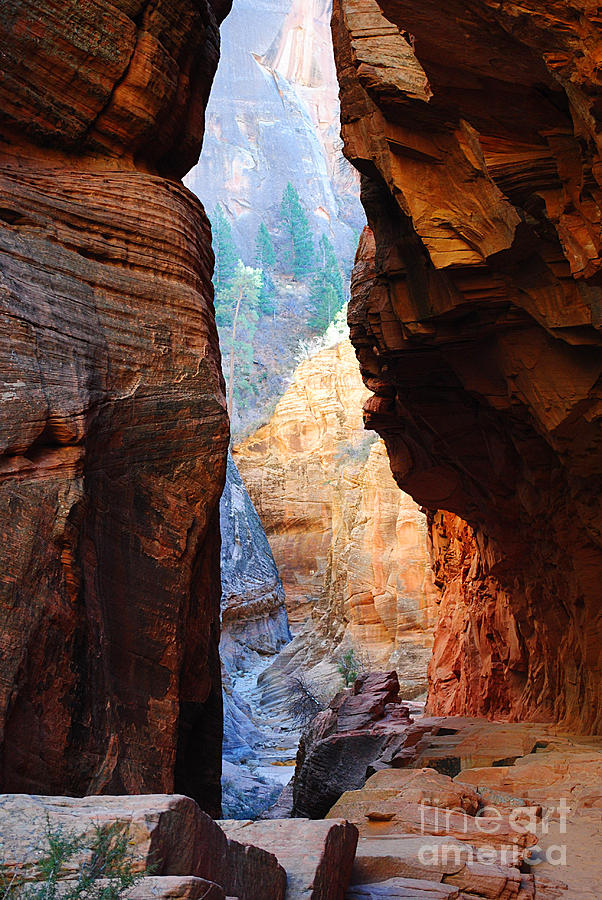 Slot Canyon Pass Observation Point Zion by Kate Sumners Slot Canyon Pass Observation Point Zion by Kate Sumners