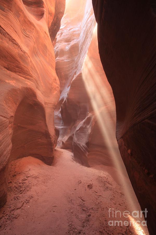 Vermilion Cliffs National Monument Photograph - Slot Canyon Rays by Adam Jewell