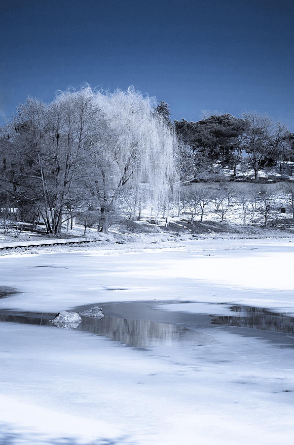 Winter Photograph - Slowly Melting Away by Julie Palencia