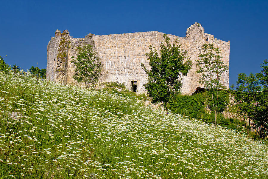 Slunj old fortress in green nature Photograph by Brch Photography
