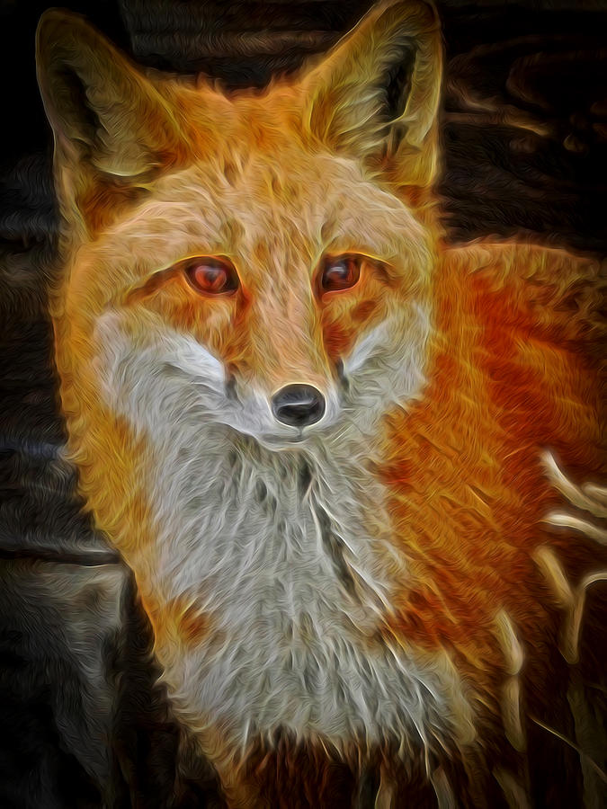 Sly Fox 2 Digital Art by Ernest Echols