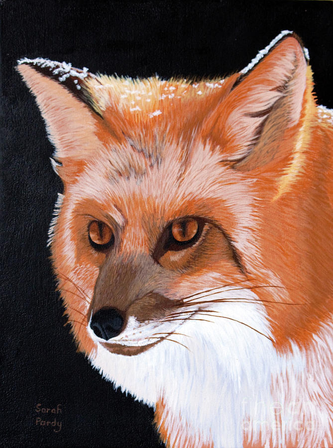 Sly Red Fox Painting by Margaret Sarah Pardy