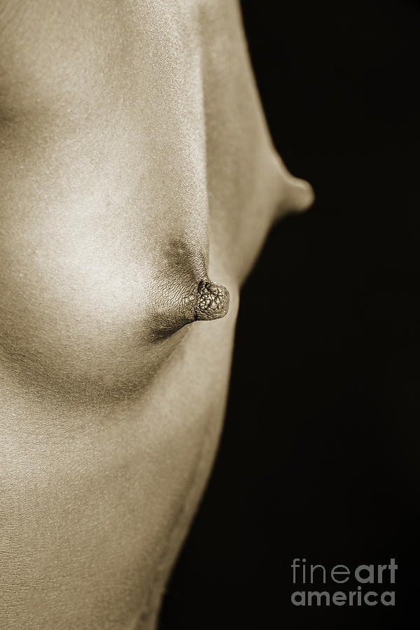 Nude Photograph - Small African Nude Girl Nipples 1195.01 by Kendree Miller