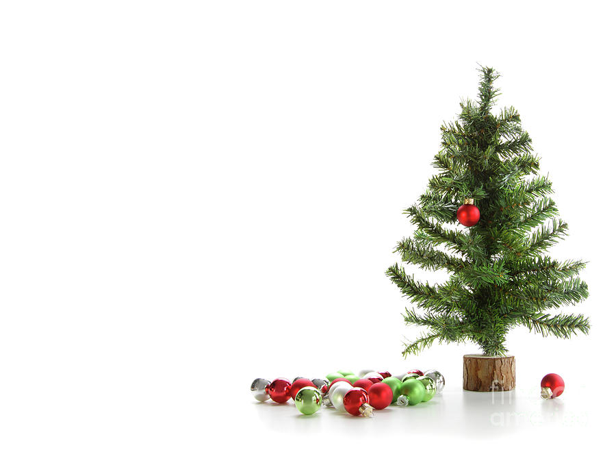 Small artifical tree with ornaments on white Photograph by Sandra Cunningham