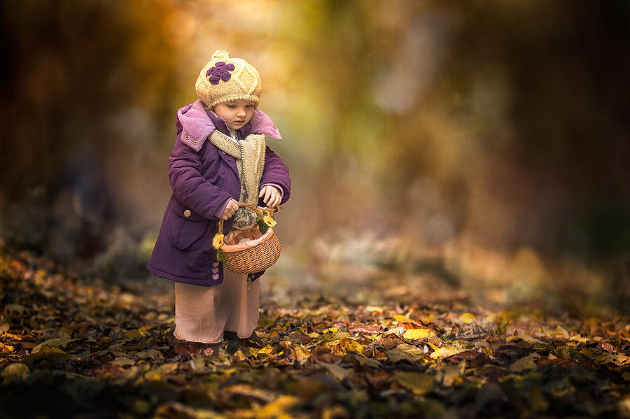 Small Autumn Fairy Photograph by Stanislav Hricko