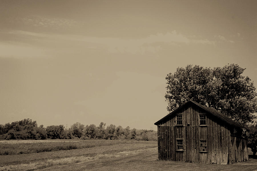 Small Barn in Prince Edward County Photograph by Jim Vance