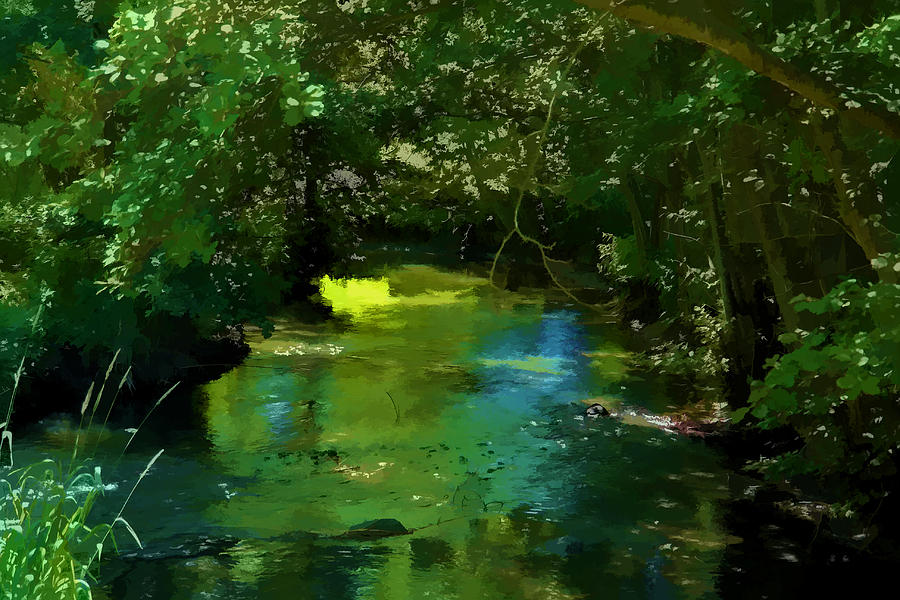 Small Beautiful Brook Stream In A Forest Photograph by Ron Zmiri