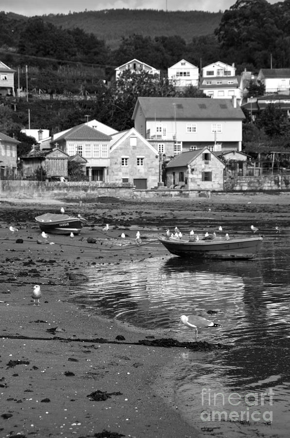 Small boats and seagulls in Galicia BW Photograph by RicardMN Photography
