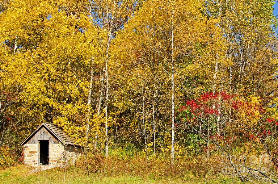 Small Cabin In Natural Bridge State Park Photograph By Ralf Broskvar