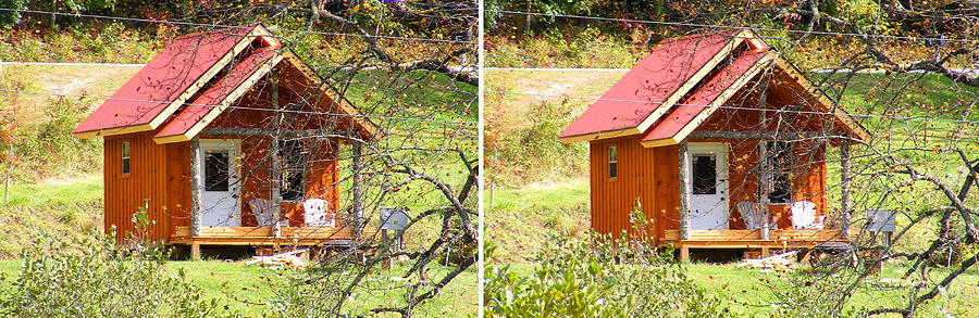 Small Cabin in Stereo Photograph by Duane McCullough
