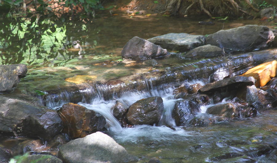 Landscape Photograph - Small Cascade At Amicalola by Cathy Lindsey