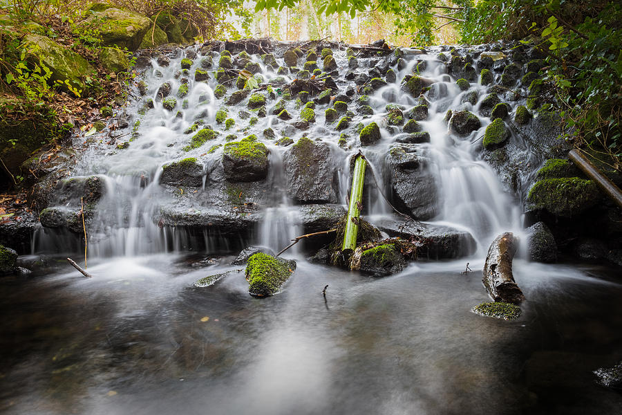 Nature Photograph - Small Cascade in Marlay Park by Semmick Photo