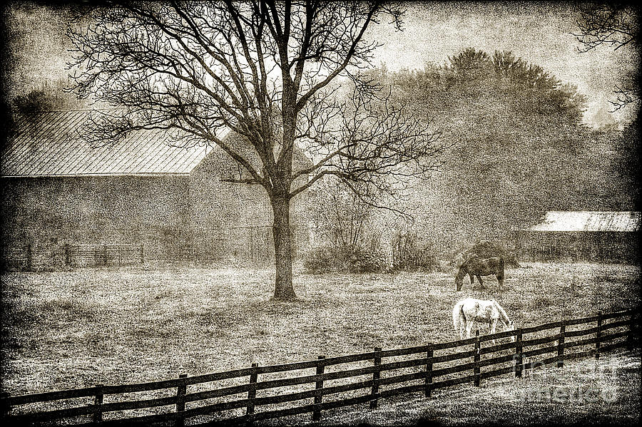 Horse Photograph - Small farm in West Virginia by Dan Friend