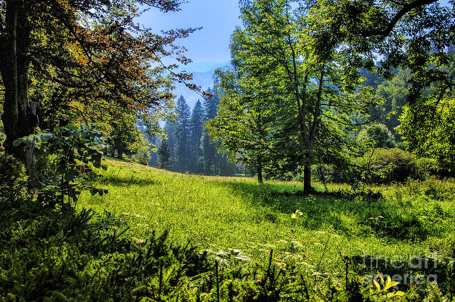 Small Field Transylvania Photograph by Rick Bragan