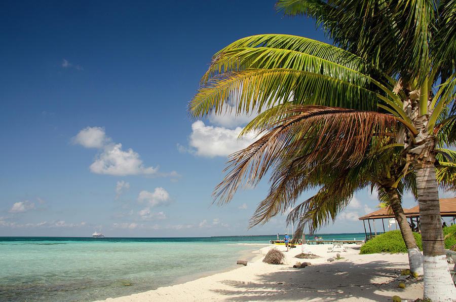 Small Island Off Shore Of Belize City by Danita Delimont