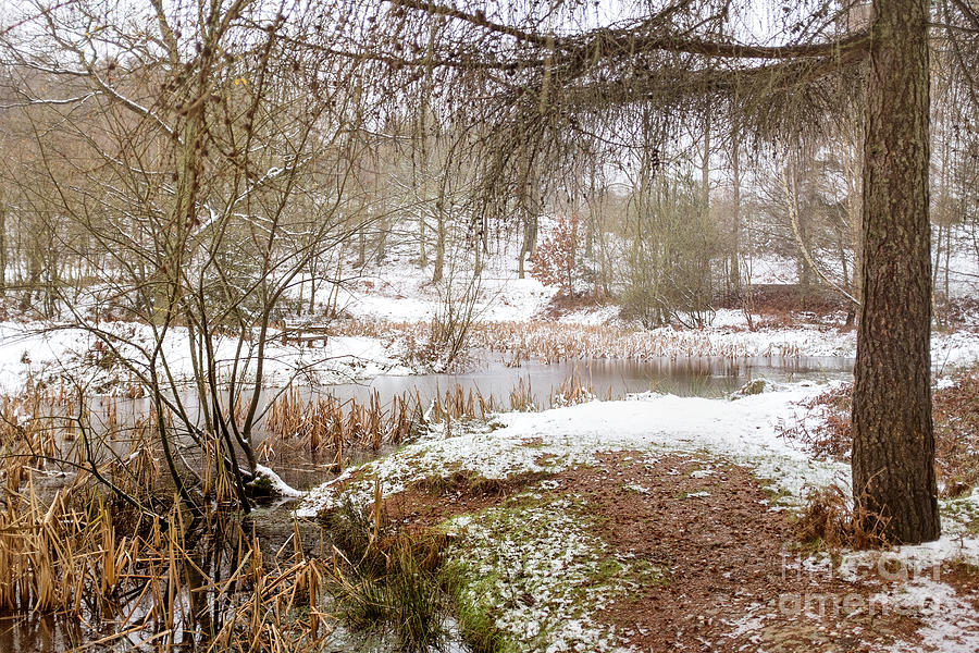 Small Lake in the Snow Photograph by Ann Garrett
