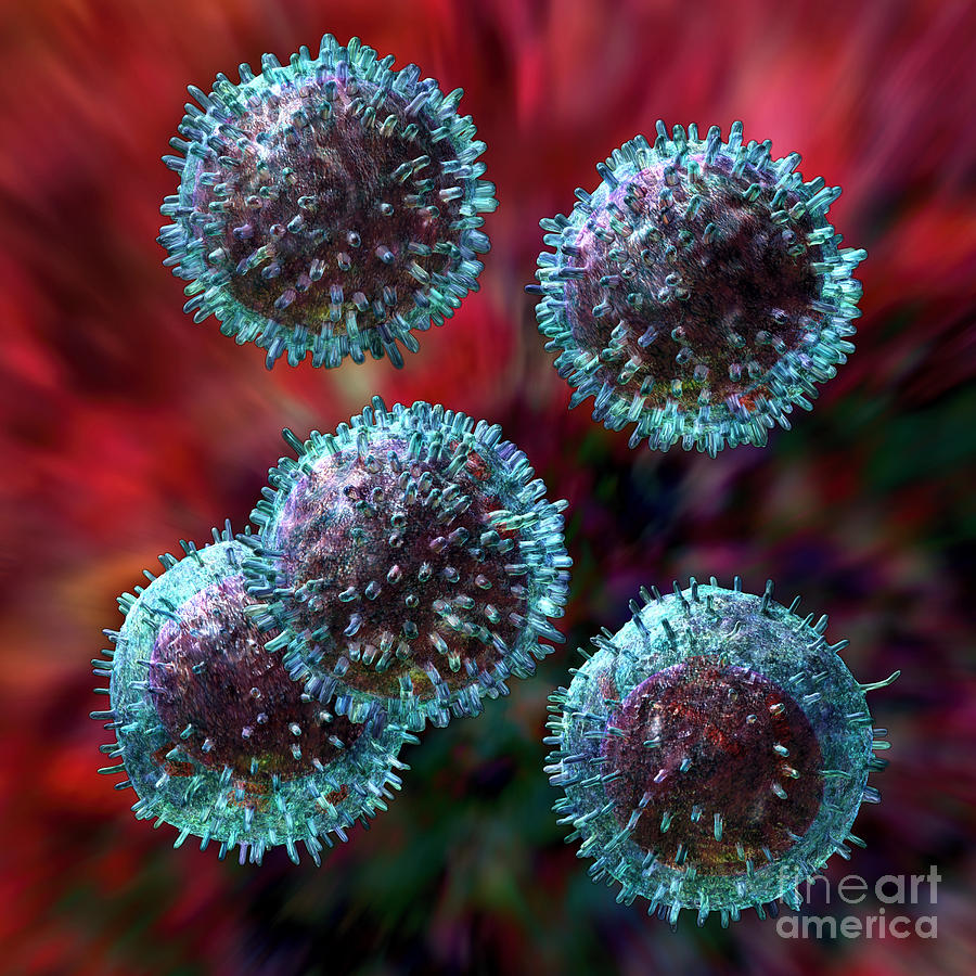 B-cells Digital Art - Small lymphocytes by Russell Kightley