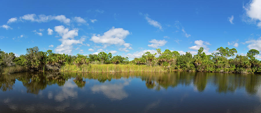 Small Pond In Alligator Creek Preserve Photograph by Panoramic Images ...