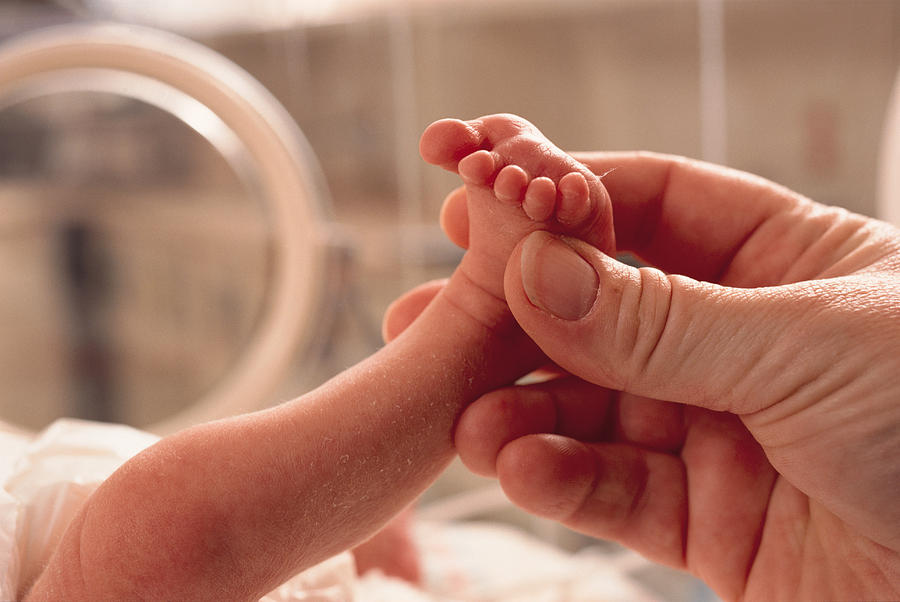 Small Premature Baby Lies In An Incubator A Grown Hand Reaches In Grasping The Foot In Caring Manner Photograph by Photodisc