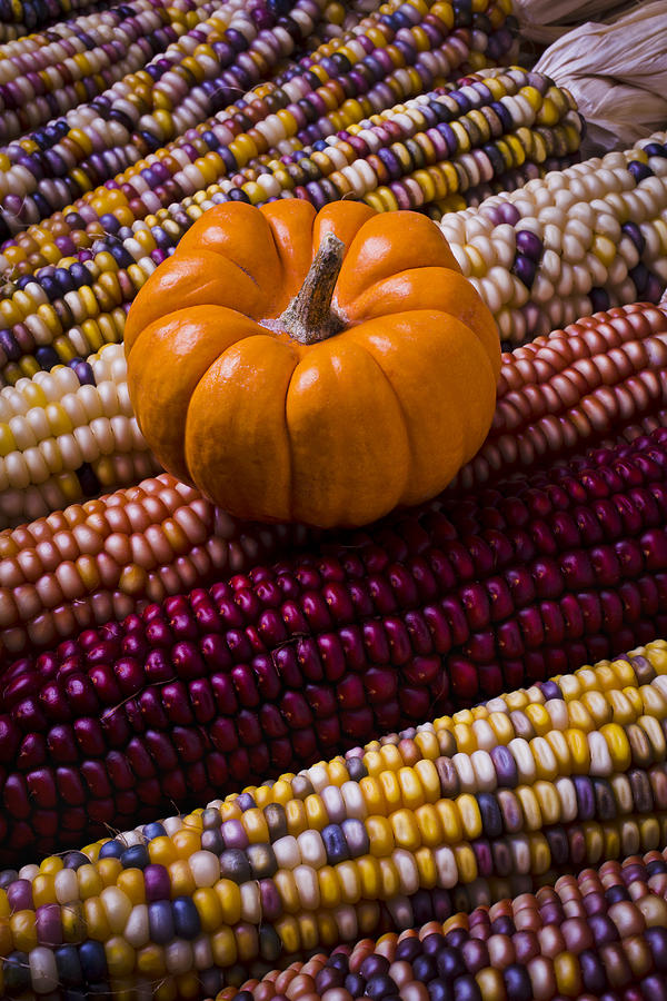 Pumpkin Photograph - Small pumpkin and Indian corn by Garry Gay