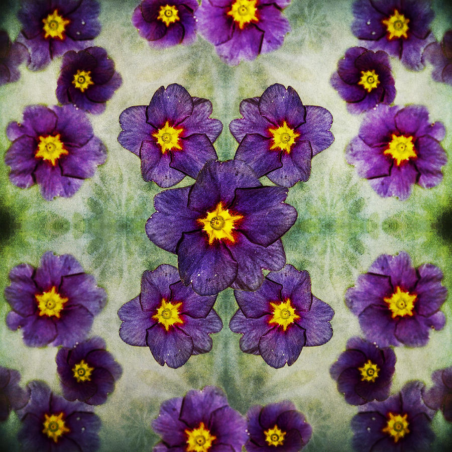 Small Purple Flowers Version 2 Photograph by Belinda Greb