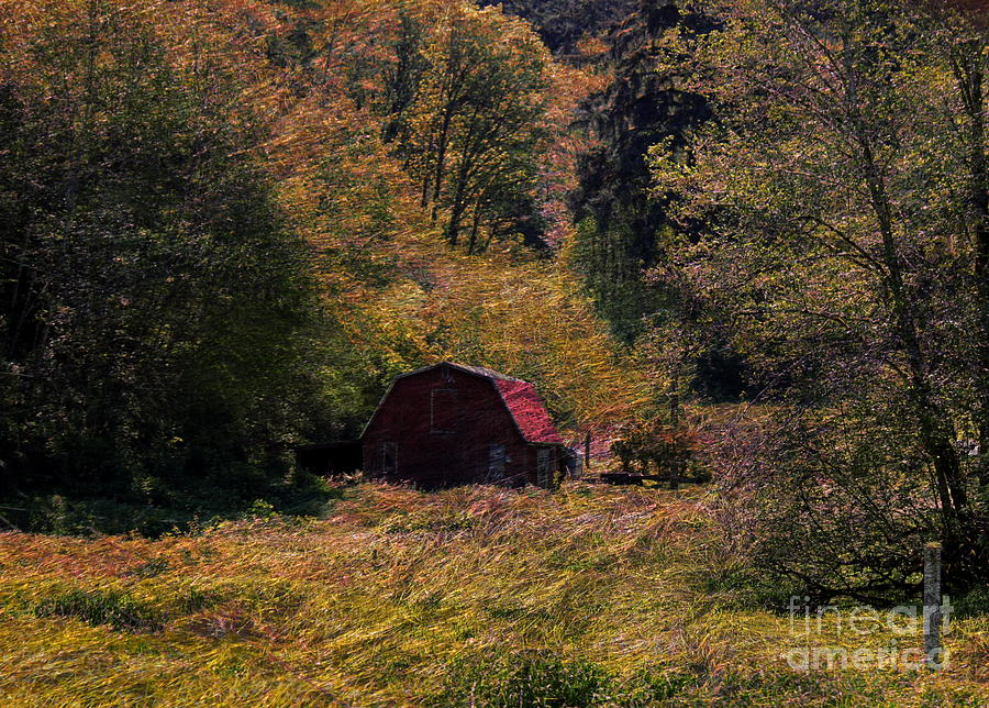 Tree Photograph - Small Red Barn by Erica Hanel