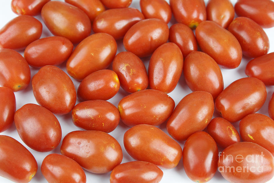Small Red Tomatoes Photograph