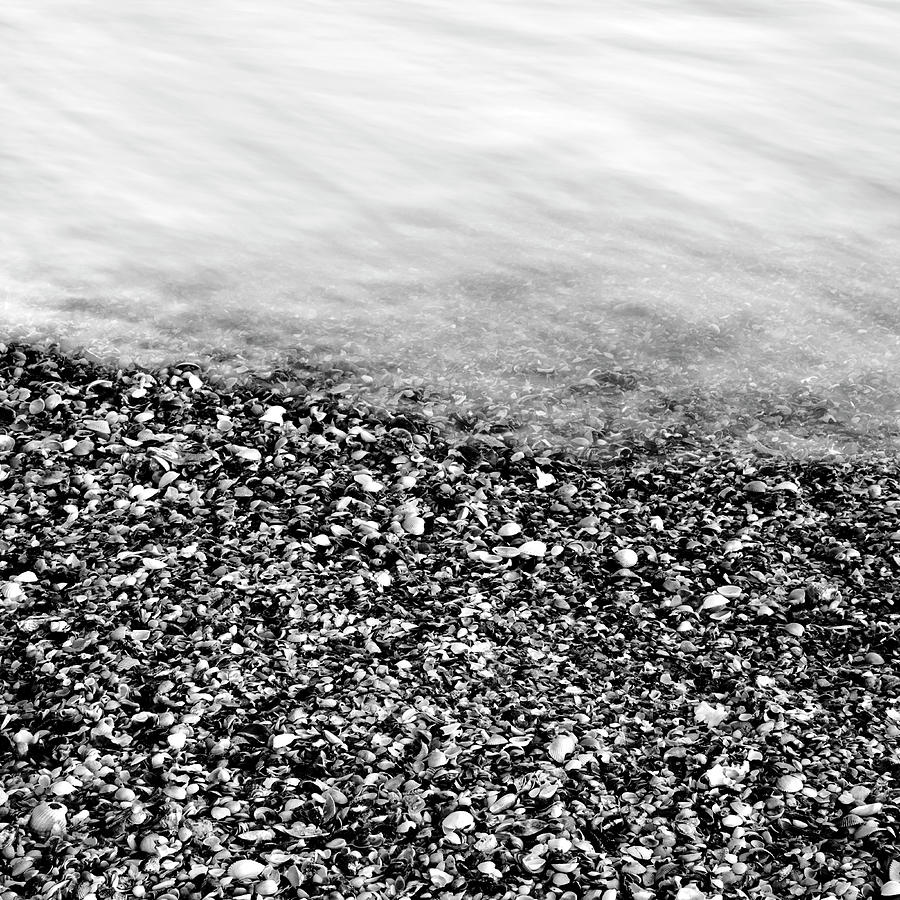 Small Shells At Shoreline Photograph by Joseph Shields