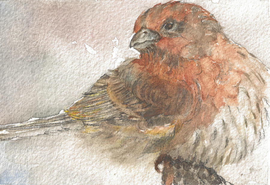 Small Sparrow Painting by Maureen Moore
