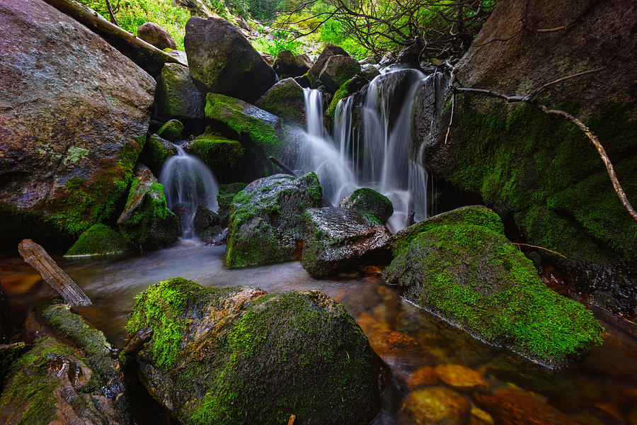 Waterfall Photograph - Small Stream Cascade by Kevin Rowe