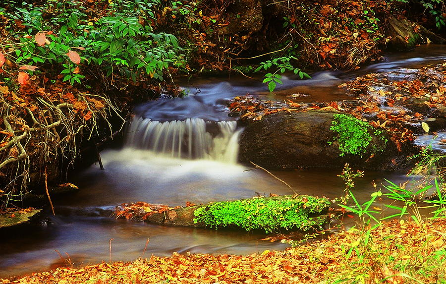 Small Waterfall and Stream Photograph by Rodney Lee Williams