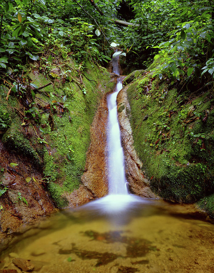 Small Waterfall In Tropical Rain Forest Photograph by Fstoplight