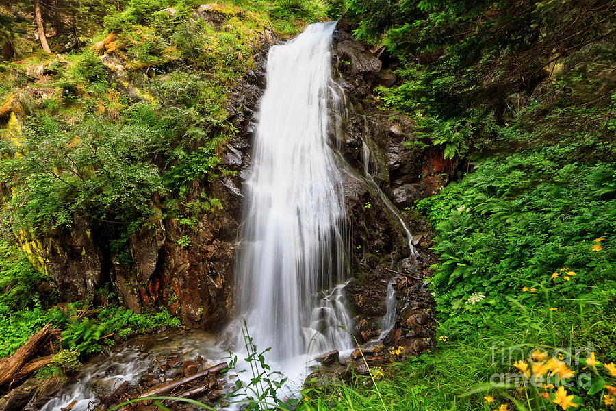 small waterfall in Val di Sole Photograph by Antonio Scarpi