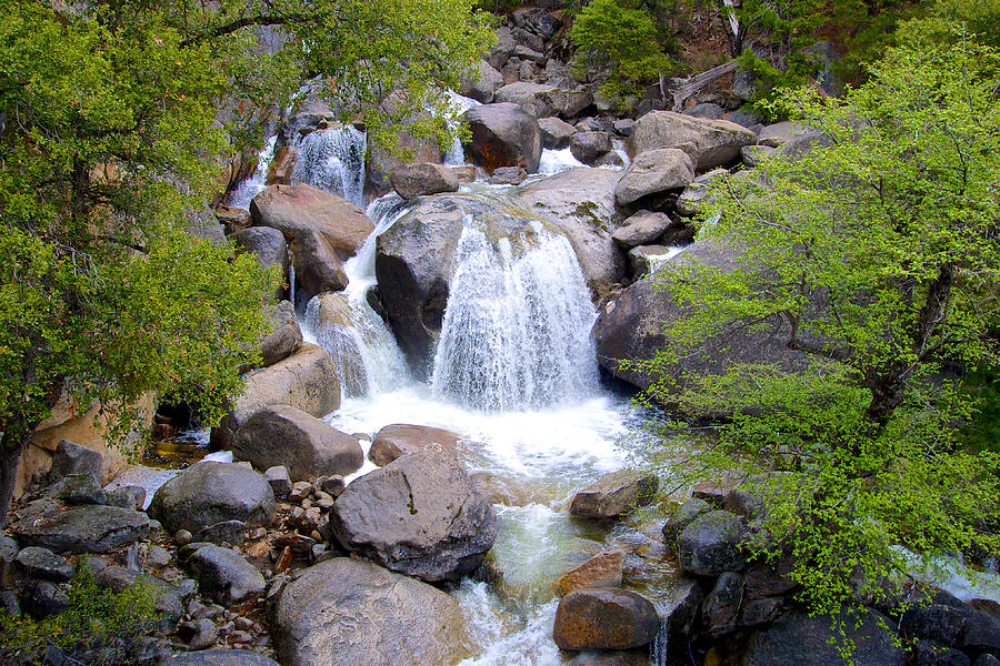 Small Waterfall near Hwy 120 Roadside in Yosemite National Park, California Photograph by Ruth Hager