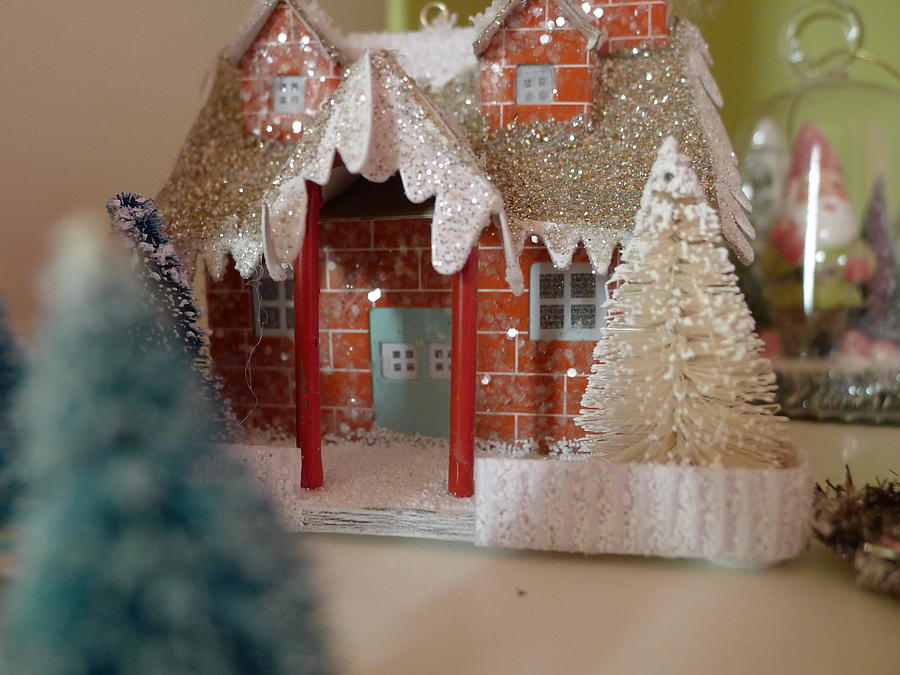 Small World - Little Winter Home Photograph by Richard Reeve