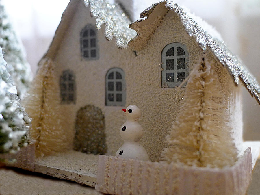 Small World - Snowman Photograph by Richard Reeve