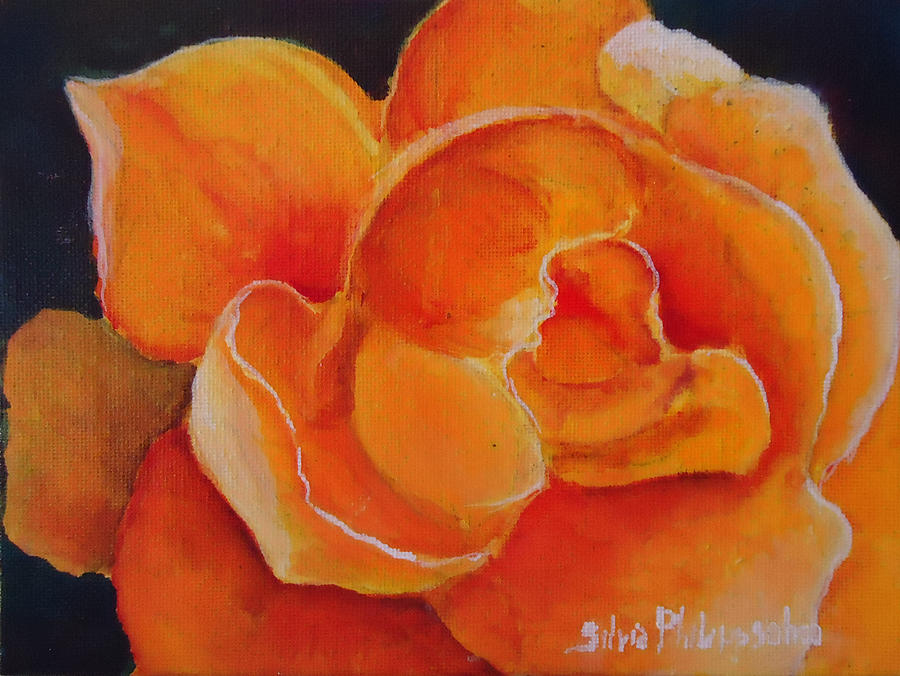 Small Yellow Rose Painting by Silvia Philippsohn