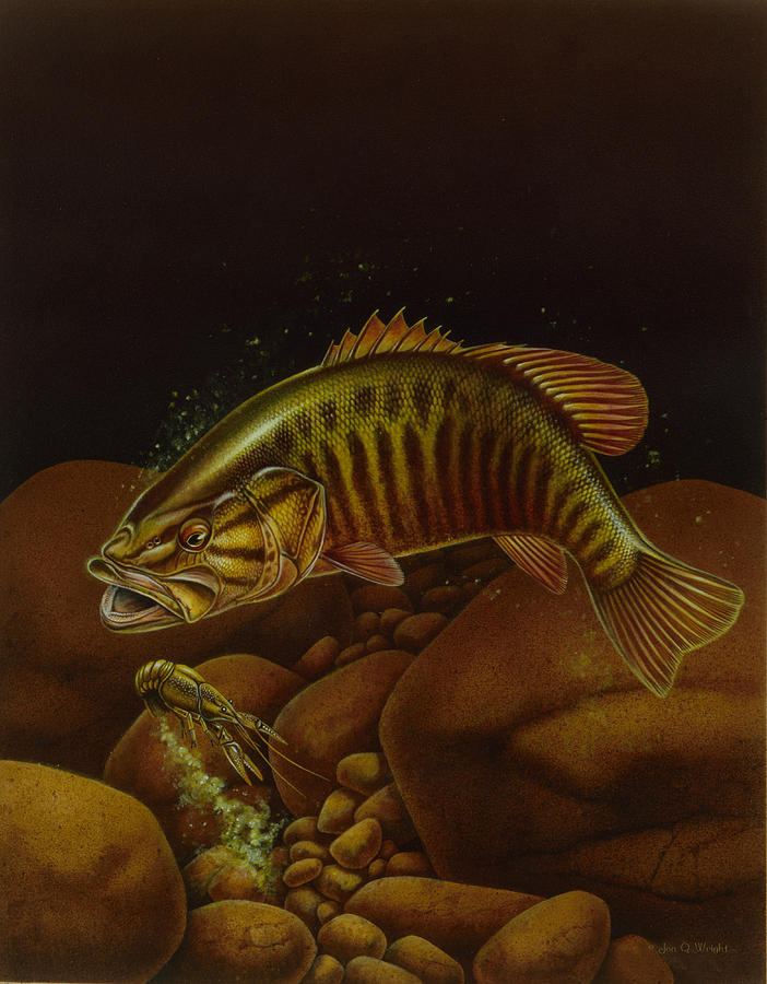 Smallmouth and Crawdad Painting by JQ Licensing