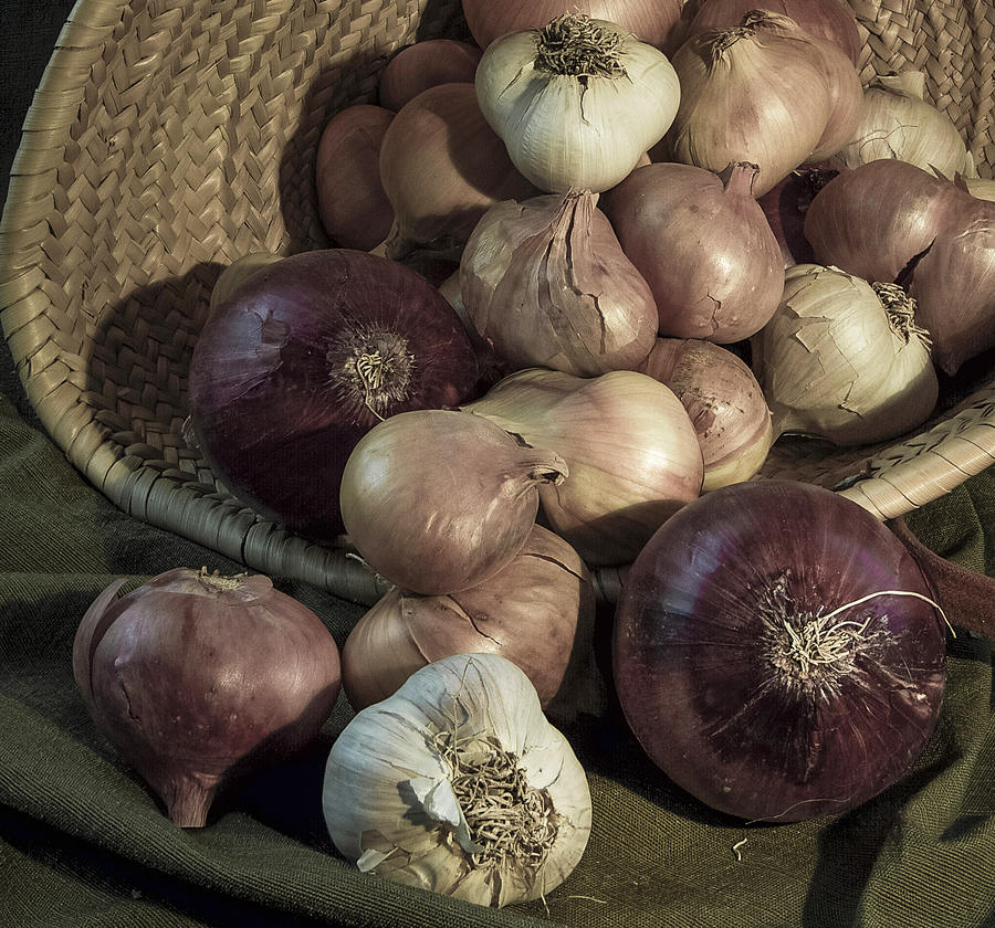 Onion Photograph - Smelly Bounty by Jean Noren