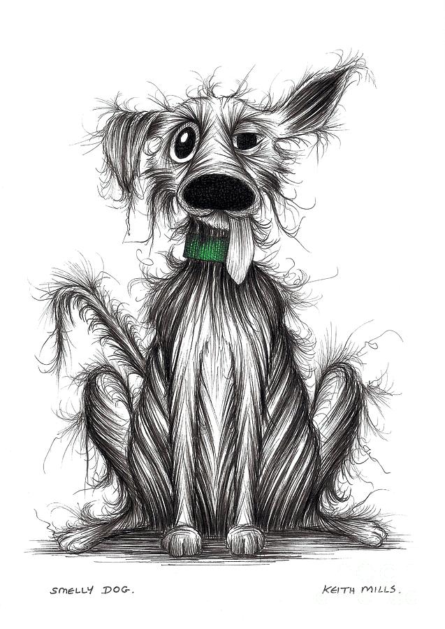 Smelly dog Drawing by Keith Mills